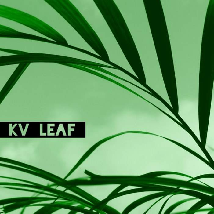 MP3 #401 KV - Leaf