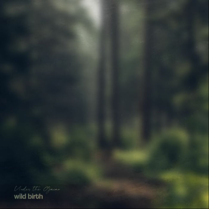 MP3 #456 Under The Gaïac - Wild Birth