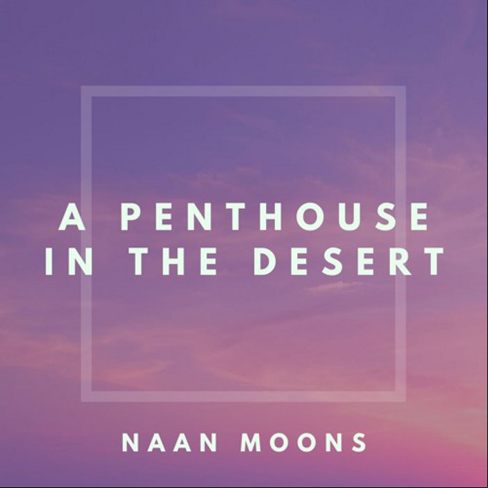 MP3 #535 Naan Moons - A Penthouse In The Desert